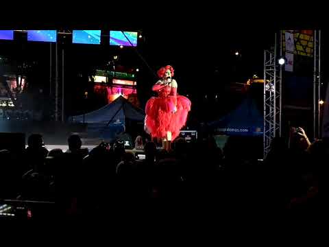 Maspalomas Gay Winter Pride 2019 La Voix