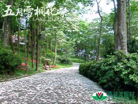 西湖渡假村-五月雪桐花祭