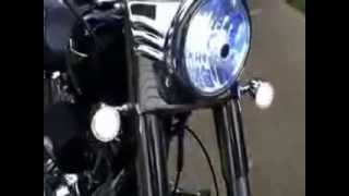 Custom Dynamics Turn signals and tail light on FLSTF Fatboy