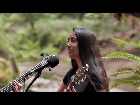 Katalysst - Atlas (Live from the Forest)