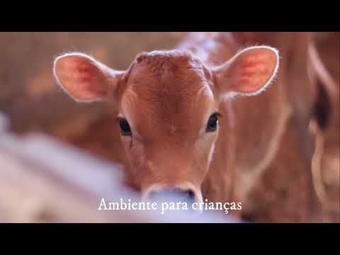 Cabanha Mulekinha - Ibiúna São Paulo