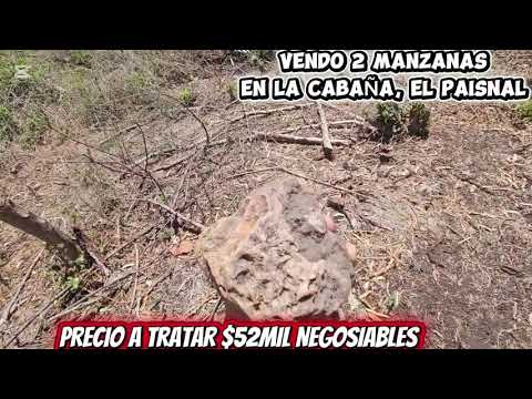 GANGAAA🥳 VENDO PROPIEDAD EN CANTON LA CABAÑA MUNICIPIO DE EL PAISNAL DEPARTAMENTO DE SAN SALVADOR 😱😱