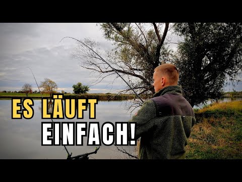 Feeder fishing on the river - that's what makes fishing fun!