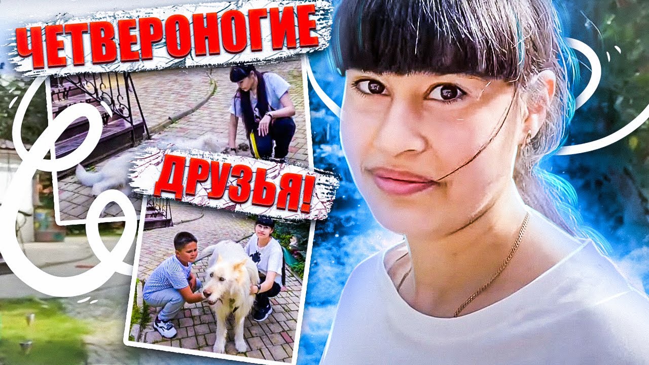 Диана Анкудинова и ее Четвероногие друзья!