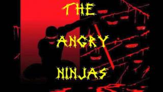 The Angry Ninjas - In The Year 2525