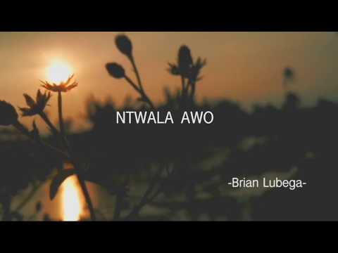 Brian Lubega - NUNGAMYA  [Official Lyric video]