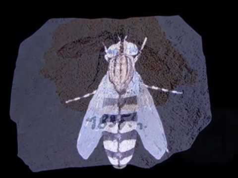 Otkrivamo Hrvatsku - Radoboj