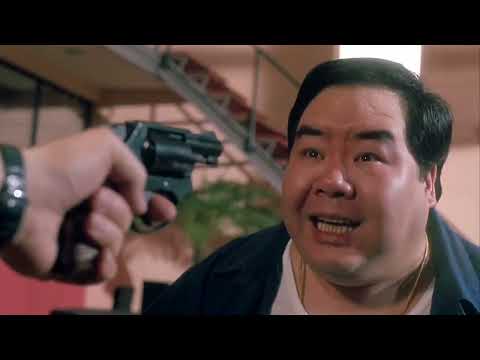 El Defensor 1994 jet lee