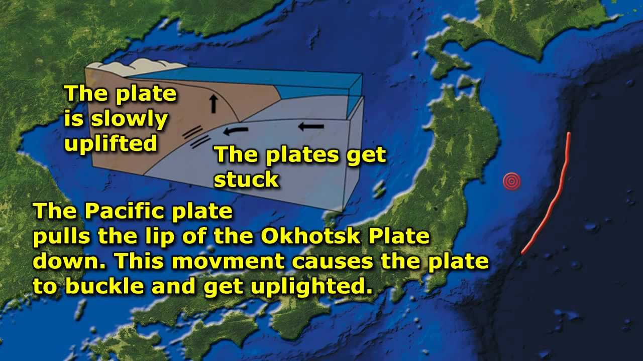What type of plate margin was the 2011 Japan earthquake? Tipseri