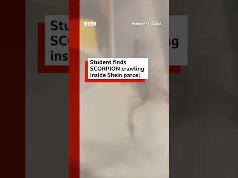 Video | Student finds scorpion crawling inside Shein parcel. #Shein #Scorpion #BBCNews