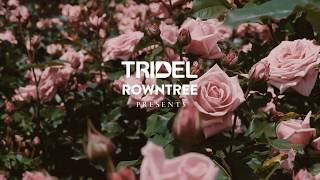 Chateau Auberge preview video