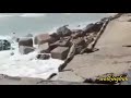 Kondisi Terkini Pelabuhan Ba A Kab Rote Ndao Nusa Tenggara Timur Setelah Kejadian Siklon Seroja