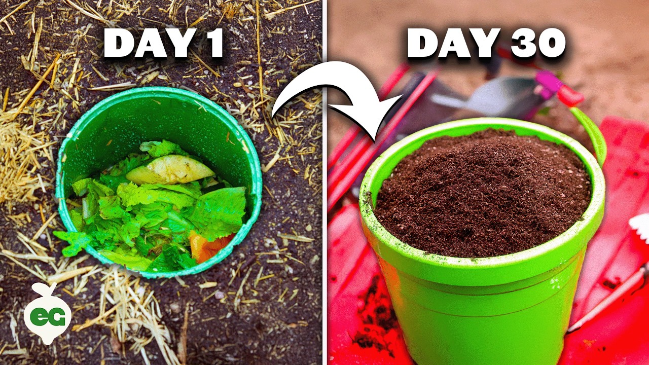 7 Easy Ways to Compost Kitchen Scraps in Your Garden! 🌱