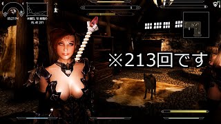 【実況プレイ】Skyrim-追いかけて、雪國【vol.213】