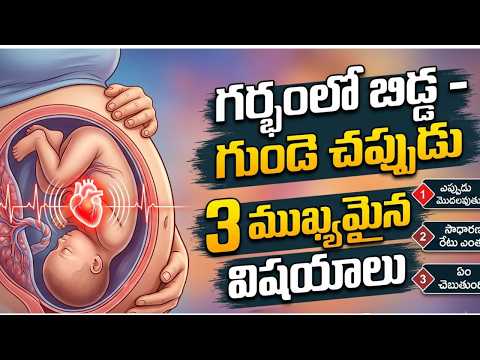 గర్భంలో బేబీ హార్ట్ బీట్ - ముఖ్య మైన 3 పాయింట్స్ - 3 points about fetal heart
