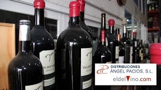 preview picture of video 'Distribucion alimentacion y bebidas en Ávila, Piedralaves'