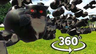 Maxwell The Cat 100,000 TIMES! 360° | VR/360° Experience