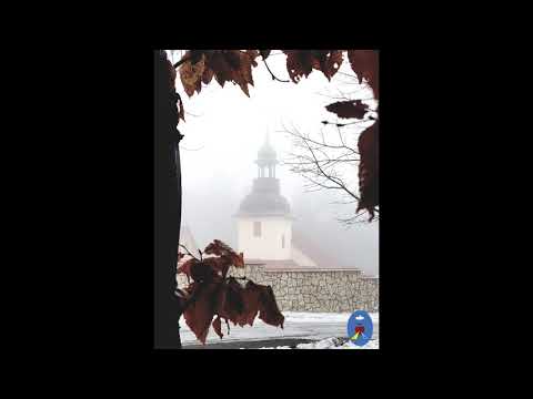 1. Pustelnia 03.02.2019 - Koronka