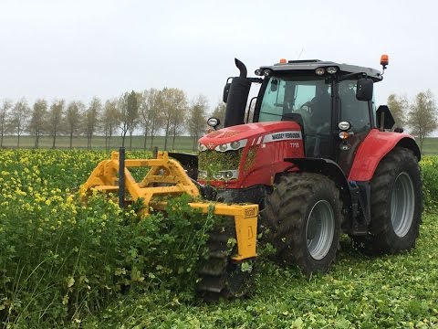 Dondi Cut Roller gaat groenbemester en gewasresten te lijf Trekkerweb