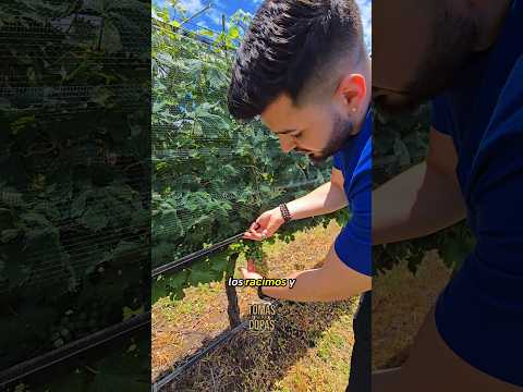 Te muestro la experiencia en Bodega Terra Camiare en Colonia Caroya, Córdoba 📍