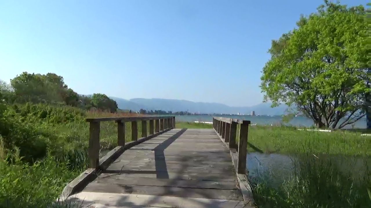 Lake Biwa-Shinasahicho Aiba, Takashima City琵琶湖ー高島市新旭町饗庭201804撮影