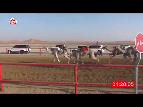  ش 20 (غياضه) لـ عيسى عبود بن سالم الدرعي 2:15:20 ، شارة الصندوق 2026/05/09 فطامين الرقيعات