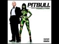 07 Can't Stop Me Now- Pitbull