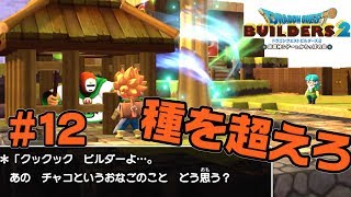 種を超越した恋【ドラクエ ビルダーズ2】#12
