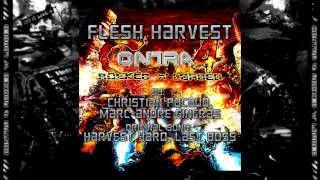 Christian Pacaud, Marc-André Gingras - 11 Flesh Harvest (Contra 4: Rocked 'n' Loaded)