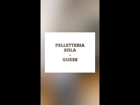 COLLEZIONE PE20 GUESS - PELLETTERIA SOLA
