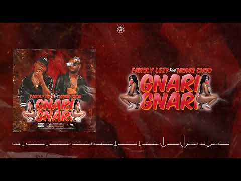 FAKOLY LEZY - GNARI GNARI Feat. MOMO CHOCO (Audio)