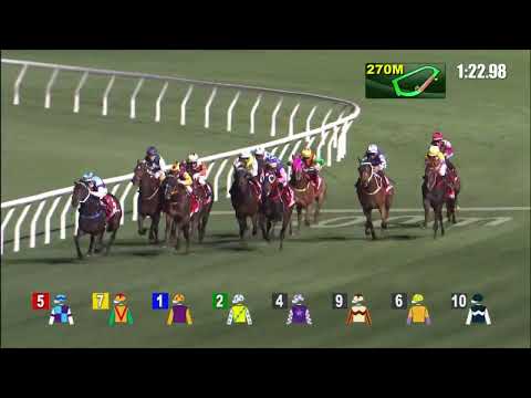 19/1/2022 (354) Gorytus- Vincent Ho