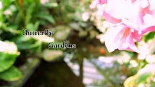Butterfly Gardens Rebel T4i Test