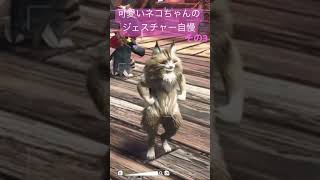アイルーの可愛いジェスチャー5選！その3