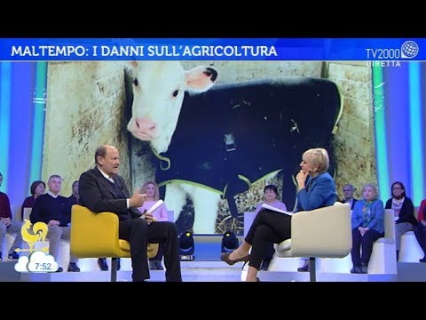 Bel tempo si spera - 28 febbraio 2018