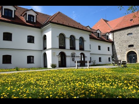 Tekovské múzeum v Leviciach - Stála expozícia