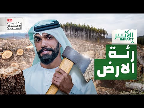 ماذا سيحدث لو اختفت الغابات عن وجه الأرض | الأثر