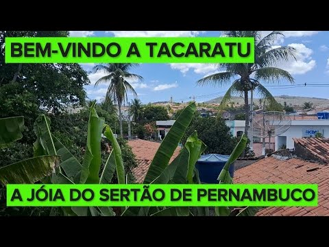 Bem-vindo a um oásis no sertão: Tacaratu, a JÓIA de Pernambuco 