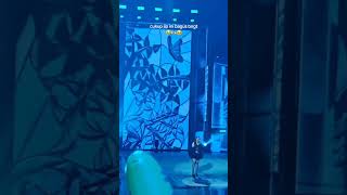 Download lagu Ziva Magnolya - Cukup mp3 Download lagu Ziva Magnolya - Cukup mp3