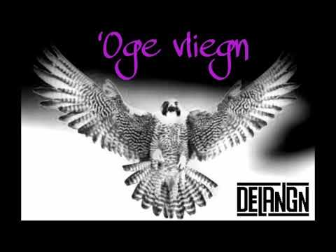 DeLangn - Oge vliegn