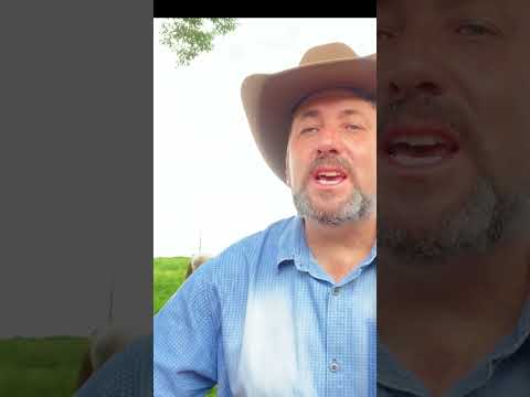 Faroeste De Amor - Jocelino Alves