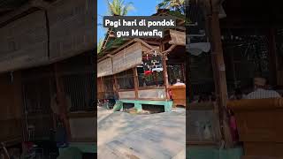 Download lagu Suasana Pagi hari di pondok Gus Muwafiq..#fyp#gusmuwafiqterbaru #gusmuwafiqChannel#shortsvideo #pbnu mp3