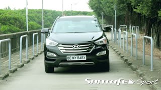 Hyundai HK x Waylun Pet Care - I've found home MV | Kashy Keegan