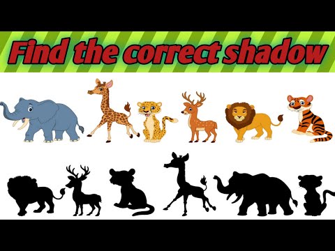 Find the correct shadow| shadow matching game#2 🤔🙂☺️💞👍🏻