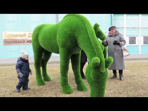 download lagu mp3 mp4 Naisiu Vasaros Festivalis 2019, download lagu Naisiu Vasaros Festivalis 2019 gratis, unduh video klip Naisiu Vasaros Festivalis 2019