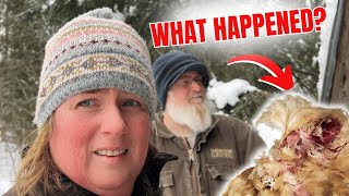 What Killed Our Chickens?