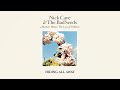 Nick Cave & The Bad Seeds - Hiding All Away (Official Audio)