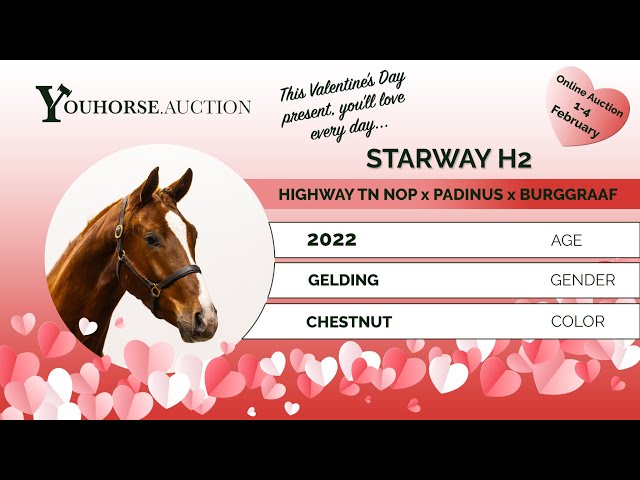 Starway H2