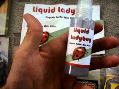 free growing samples