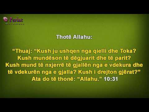 Nuk mjafton vetëm Teuhid Rububije - Feuzan